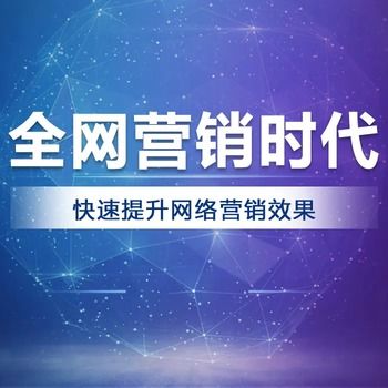 南京全网推广公司实力盘点 以实战能力为导向的网络技术服务商选择